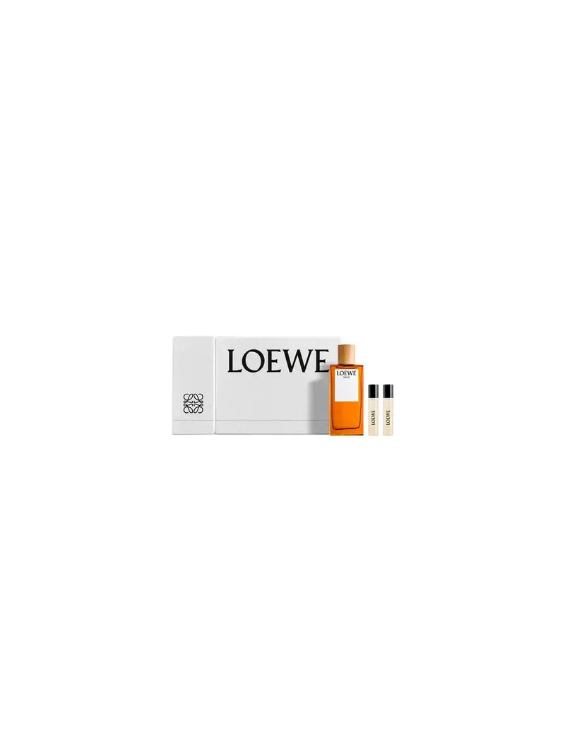 LOEWE Loewe Solo El Edt Spray 100ml Nav24 Sets