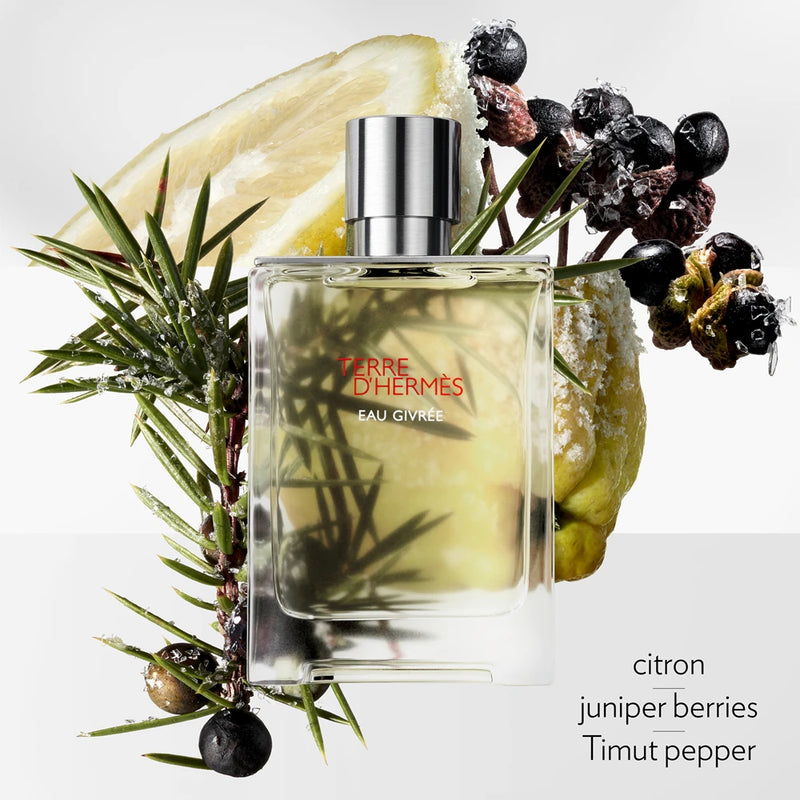 Hermés Terre D'hermés Eau Givrée Eau de Parfum Recargable 175 ml